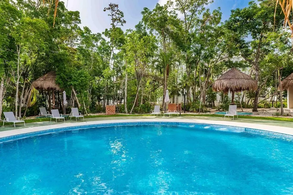 Lovely Cozy Apt W/Pool 2 Bedrooms. Great Location! Puerto Morelos